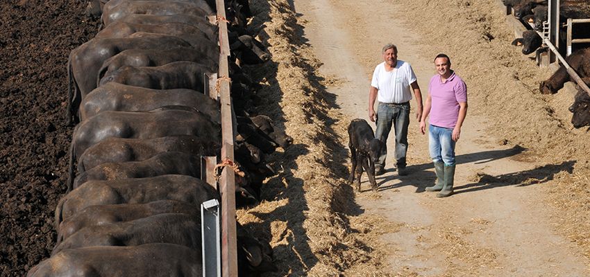 Azienda agricola Di Santo