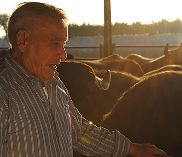 Intervista a Giovanni Di Santo, l’anima dell’azienda agricola, un’attività di proprietà della famiglia Di Santo da almeno quattro generazioni  