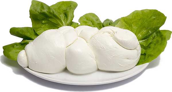 Mozzarella di bufala treccia