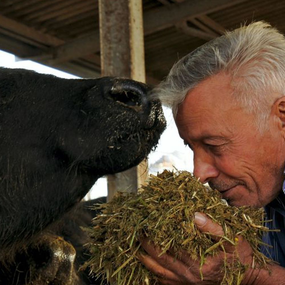 Giovanni Di Santo Visite Guidate Azienda Agricola Di Santo