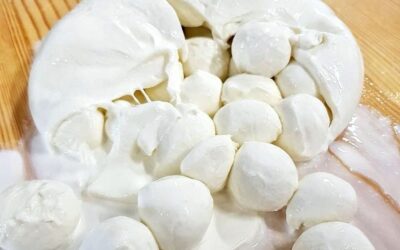 Mozzarella di bufala del caseificio Di Santo on-line, spedizione gratuita in tutta Italia