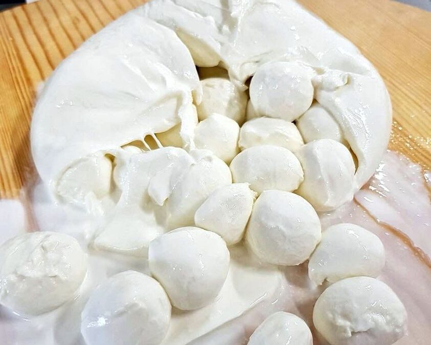 Mozzarella di bufala del caseificio Di Santo on-line, spedizione gratuita in tutta Italia