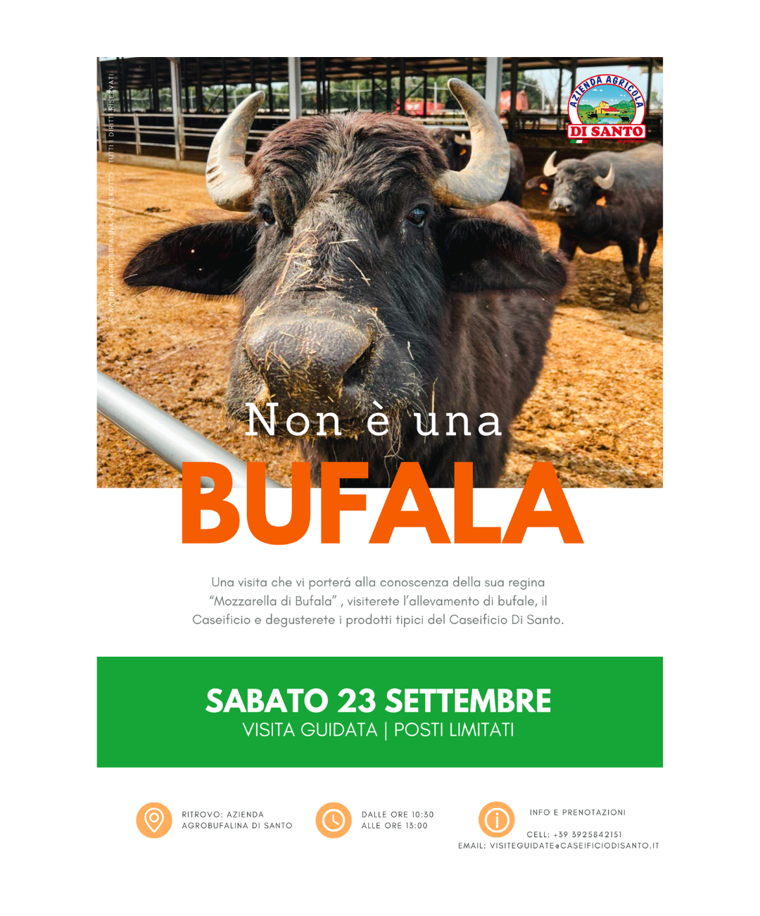Visite Guidate Caseificio Di Santo
