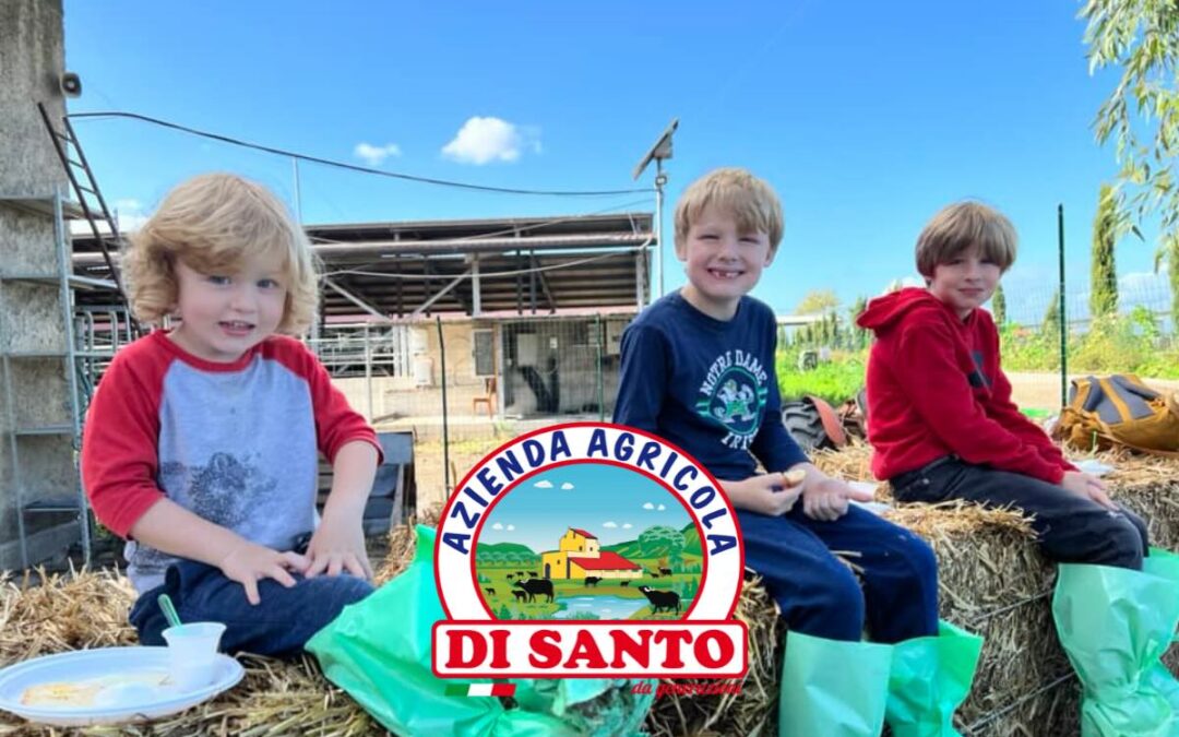 Un giorno da Casaro: Il cuore della Campania batte all’Azienda Agricola Di Santo