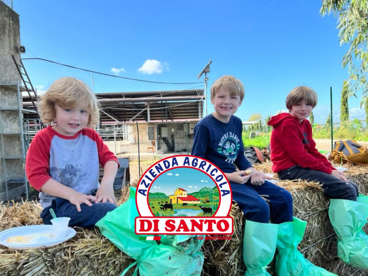 isite guidate caseificio Di Santo produzione mozzarella.