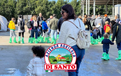 A Day as a Cheesemaker: Guided Mozzarella Farm Tour at Di Santo